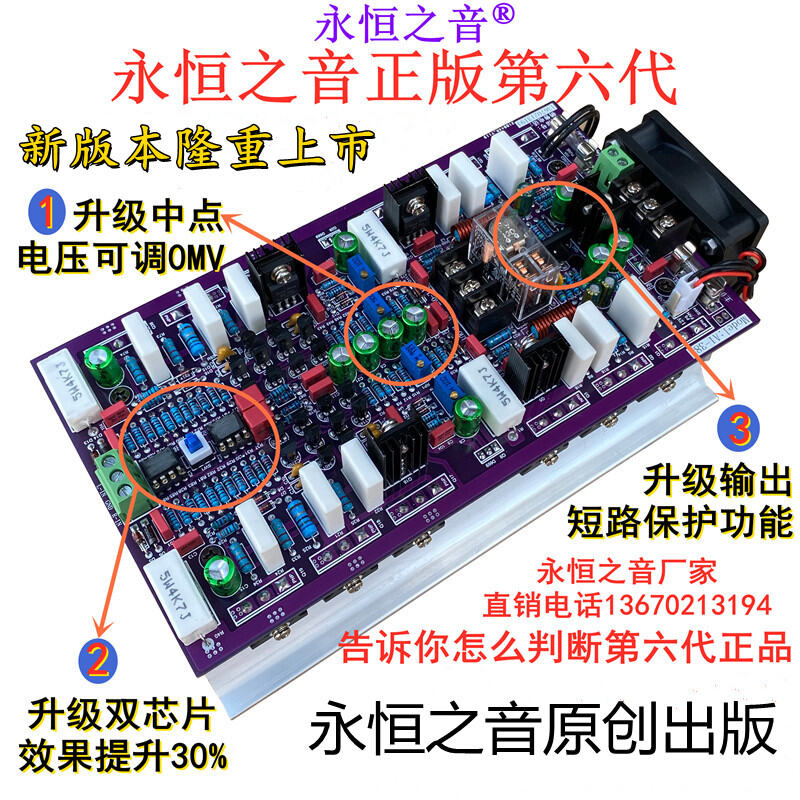 Eternal Sound Original A1 Sixth Generation Class AB High Power Amplifier Board